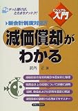 ビジュアルde入門 減価償却がわかる (実日ビジネス)