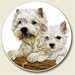 West Highland Terrier Auto Coaster, Single Coaster for Your Car