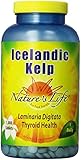 Nature's Life Kelp Tablets, Icelandic, 41 Mg, 1000 Count