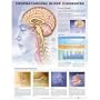 Undestanding Sleep Disorders Paper Unmounted