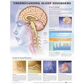 Undestanding Sleep Disorders Paper Unmounted