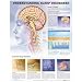 Trim Size: 20 x 26 Pub Date: May 2005 Paper Unmounted ISBN: 1-58779-919-7