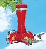 4 Fountain Feeder with Perch 8 oz - 6 Pack