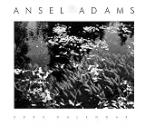 Ansel Adams 2003 Engagement Calendar