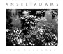 Ansel Adams 2003 Engagement Calendar