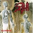Human