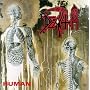 Human