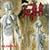 Human