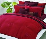DKNY Night Caravan Bedding Collection
