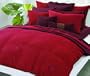 DKNY Night Caravan Bedding Collection