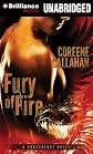Fury of Fire (Dragonfury Series)