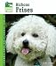 Bichons Frises (Animal Planet Pet Care Library)