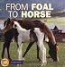 Book From Foal to Horse (Start to Finish)