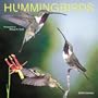 Hummingbirds 2006 Calendar