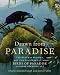 Drawn from Paradise: The Natural History, Art and Discovery of the Birds of Paradise with Rare Archival Art
