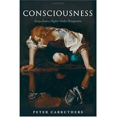 Consciousness: Essays from a Higher-Order Perspective