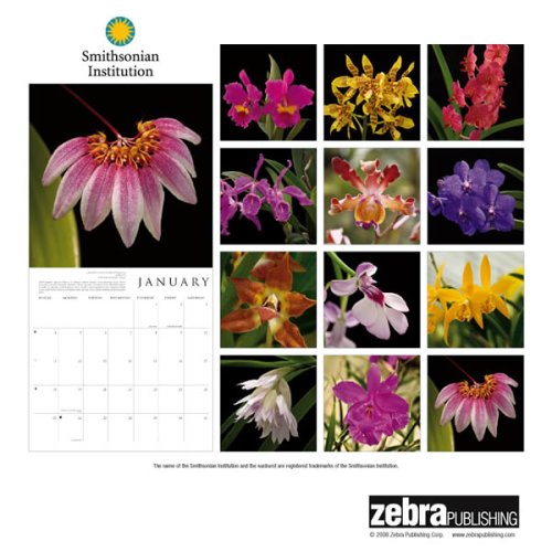 Orchids 2009 Calendar under Flowers in The Books Store