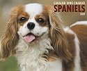 Cavalier King Charles Spaniels 2009 Calendar