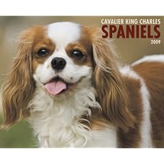 Cavalier King Charles Spaniels 2009 Calendar