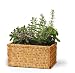SUPERB WICKER GARDEN PLANTER FOR SALADS HERBS