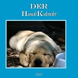 Produkt-Bild: 2013 DER Hunde Kalender: Jede zweite Woche ein Hundemotiv, edles Quadrat-Format
