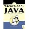 The Evolution of Java