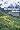 The Himalayan Garden: Growing Plants from the Roof of the World