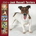 Jack Russell Terriers 366 Days 2008 Square Wall Calendar (German, French, Spanish and English Edition)