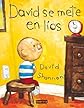 David Se Mete En Lios / David Gets in Trouble (Coleccion Rascacielos) (Spanish Edition)