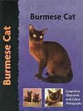 Burmese Cat (Cat Breeds)