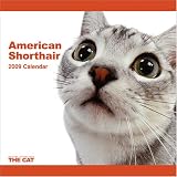 American Shorthair Cat 2009 Wall 12''x12'' Calendar by THE CAT Artlist Collection