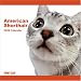 american shorthair - American Shorthair Cat 2009 Wall 12''x12'' Calendar by THE CAT Artlist Collection