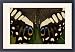 Framed Prints of Sammamish, Washington from Danita Delimont
