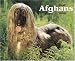 Book Just Afghans 2008 Calendars (Just)