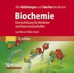 Bild-DVD, M�ller-Esterl, Biochemie