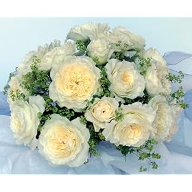 Patience Purely Rose Bouquet (15 roses)