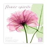 Flower Spirits 2013 Wall (calendar)