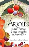 Arboles Frutales Exoticos Y Poco Conocidos En Puerto Rico (Spanish Edition) by Juan A. Rivero (2006-04-07)