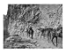 US Postal Service - Havasupai, Arizona Places Photographic Poster Print by Jessica Dansereau, 10x8