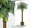 ONE 10' Artificial Coconut Palm Tree with Two Coconuts
