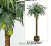 ONE 10' Artificial Coconut Palm Tree with Two Coconuts