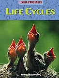 Life cycles