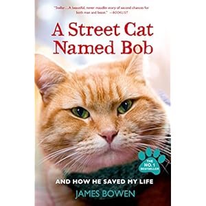 A Street Cat Named Bob: And How He Saved My Life