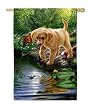 Nibbles Silk Reflections Regular Size Flag