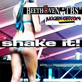 Shake It (Italian House Mafia Mix)