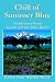 Books : Chill of Summer Blue: A Collection of Poetry Seasons of Poetry Series, Book 2