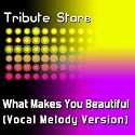 One Direction - What Makes You Beautiful (Vocal Melody Version)