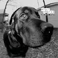 Dog Eared Dream [Us Import]
