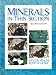 Minerals
in
Thin
Section