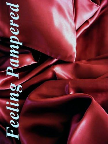 Luxury 3 Pcs 100% Silk Charmeuse Duvet Cover Set King Burgundy Red